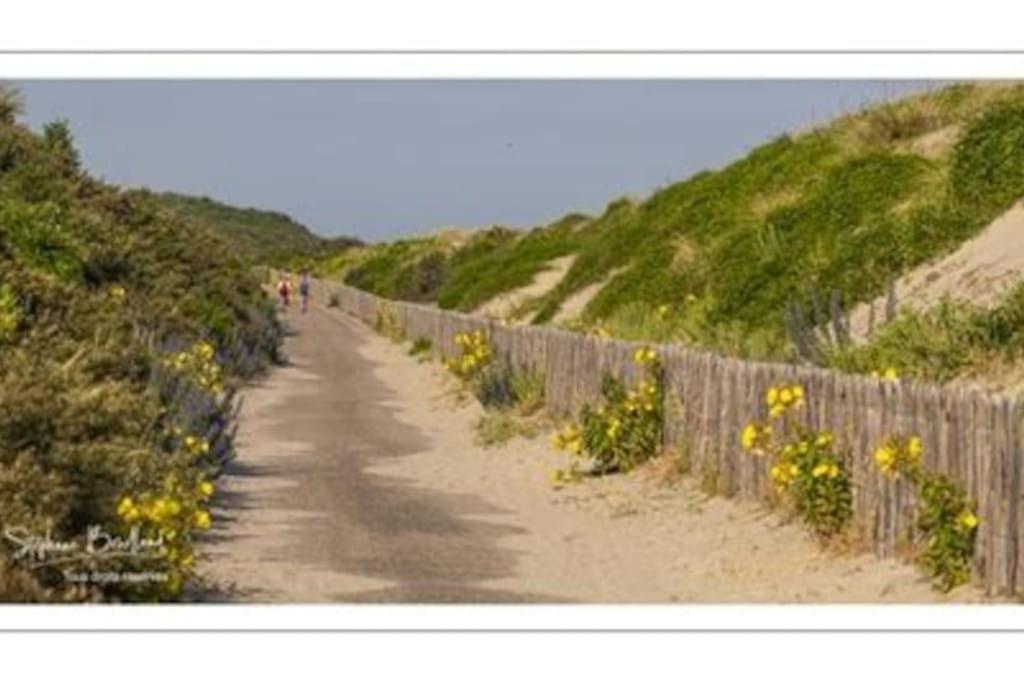 La Baigneuse Maison Avec Jardinet Et Parking Prive, A 200 M Plage Cayeux-sur-Mer Eksteriør billede