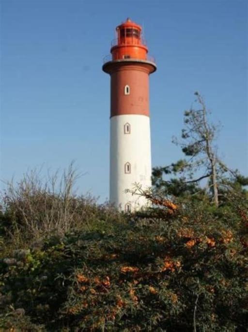 La Baigneuse Maison Avec Jardinet Et Parking Prive, A 200 M Plage Cayeux-sur-Mer Eksteriør billede